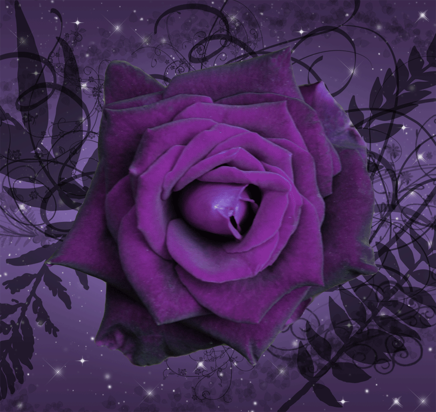 animated images of roses. Roses